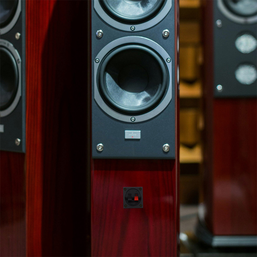Speaker Terminal - 2 sztuki metalowych zacisków do gniazd