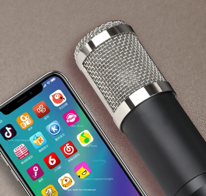 Zestaw mikrofonu pojemnościowe – Condenser Microphone Kit recenzja i cena